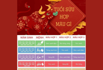 Bảng màu hợp tuổi sửu