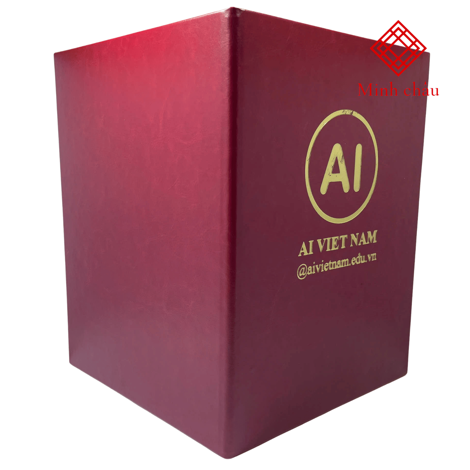 bia bang tot nghiep dai hoc ai e0443